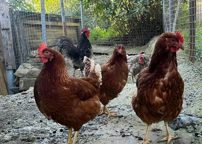 Ca' Vegia Casaleggio Boiro